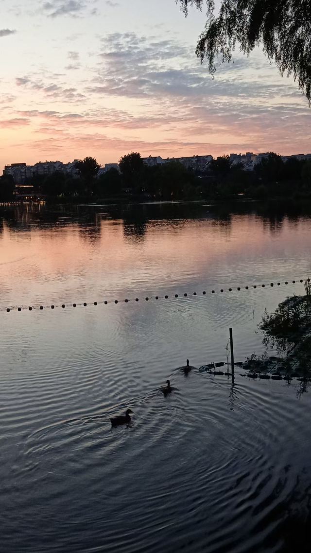 西海旅行图片 3