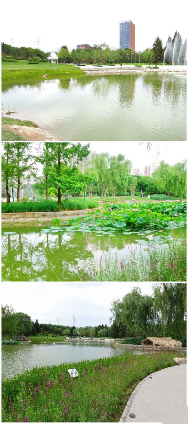 四得公园旅行图片 1