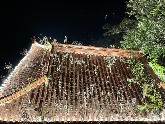 石竹山省级风景名胜区旅行图片 10