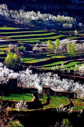 情人节，我和金川梨花有个约会。