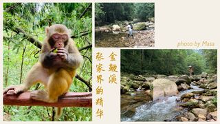 国内轻松家庭游:不妨探访张家界