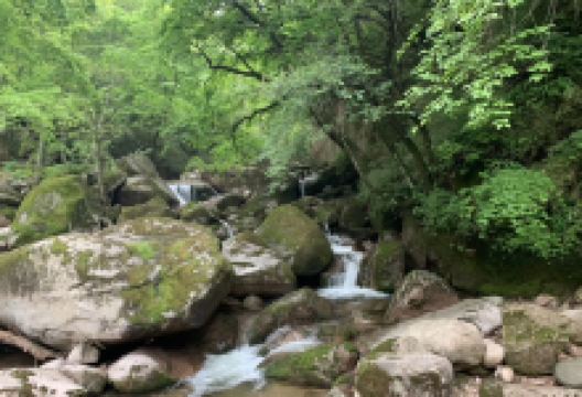 千湖国家湿地公园景点图片
