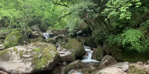 千湖國家濕地公園