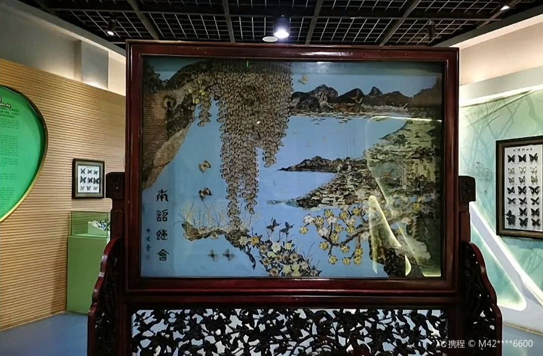 蝴蝶馆