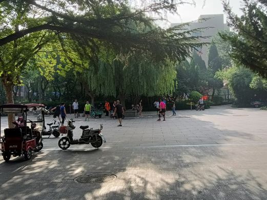 安丘植物园