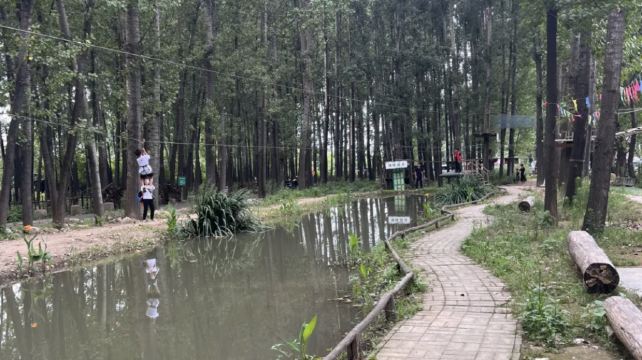 飞奔奔树上探险乐园