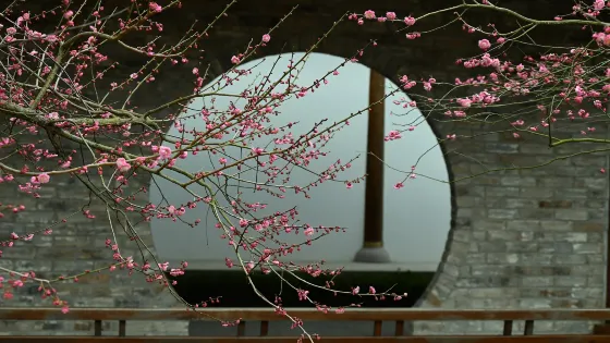 天台山寶華禪寺