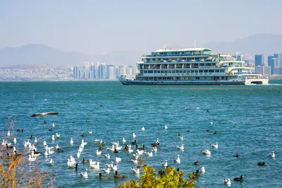 洱海游船