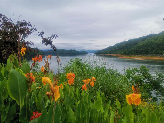 第三次玩千岛湖,3-70岁老中青幼10人3天环湖自驾(白小线汾口镇芹川古村)更毕