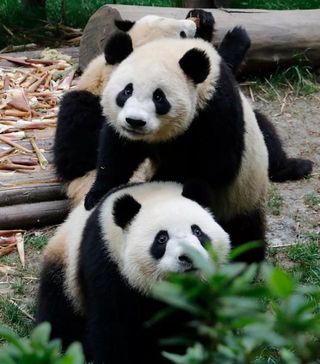 11月,要么南下看海,要么北上玩雪!