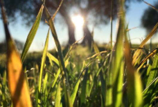 光州公园景点图片