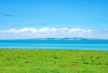 青海湖一日游【专属包车自由出行+想拍随停+纯玩无购物】【[小众线路]心动小众线路出行，宽松自由闲适，出差商旅的尤佳选择！】