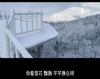 哈尔滨雪乡行,行前必看的自由行攻略