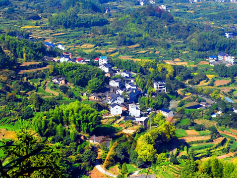 浙江旅游:松阳石仓云上桃花源(图)