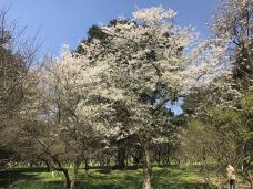 杭州植物园-杭州-谌默默