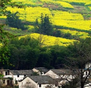 我去黄山却不为看山,赏徽派建筑景翠阁山庄民宿,品歙县独特美食