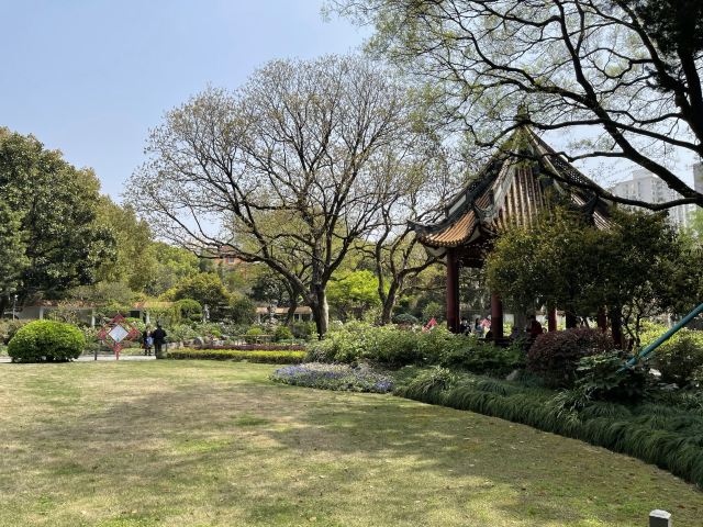 漕溪公园旅行图片 2