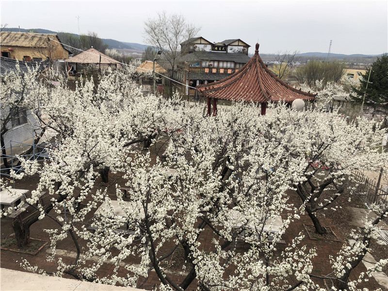 花果山神秘谷风景区
