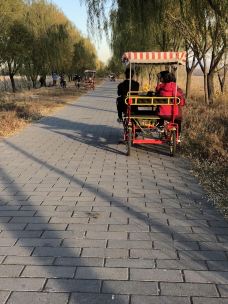 野鸭湖国家湿地公园-北京-语溪