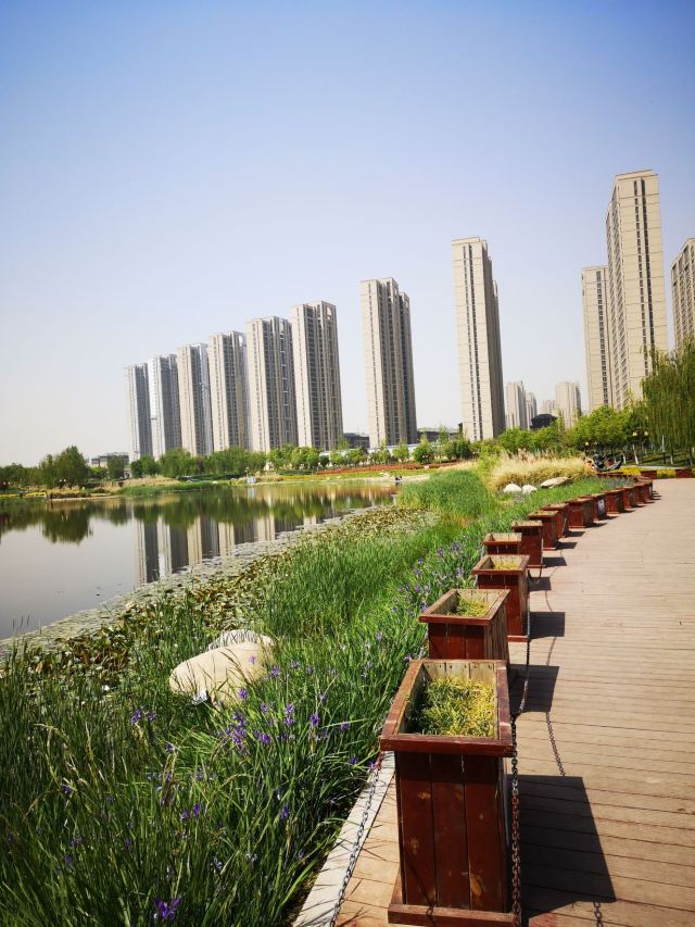 两寺渡公园旅行图片 12