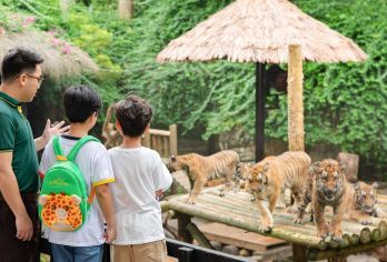 长隆野生动物世界一日游【天天出发，番禺区内接】【广州长隆野生动物世界一日游】