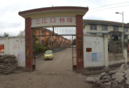 云南省昭通市三江口国营林场景点图片
