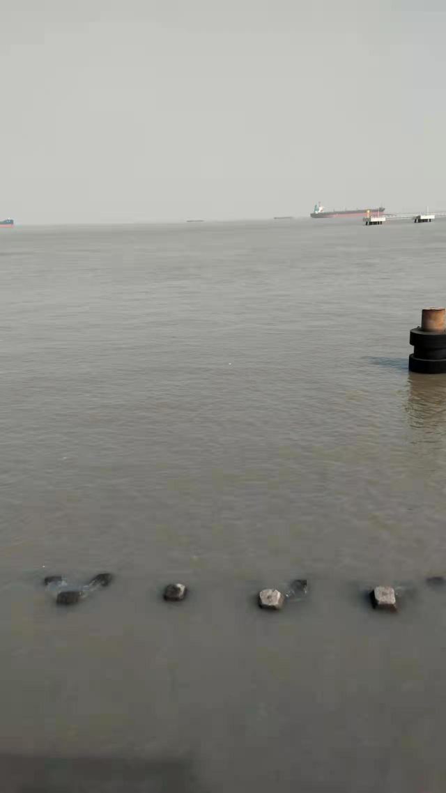 滨江大道旅行图片 4