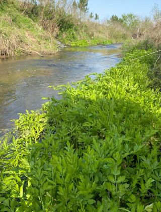 宁波哪里好玩？这份山野景区野菜攻略，你一定不能错过