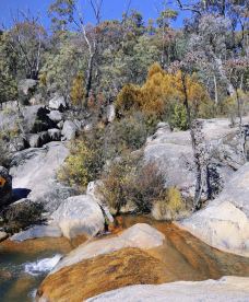 Lennox Gardens-亚拉伦拉-二十画生JQK