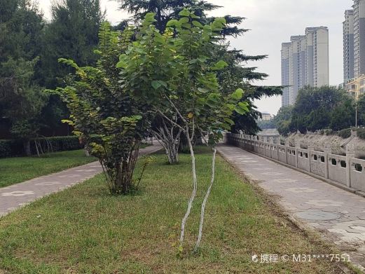 沁河公园
