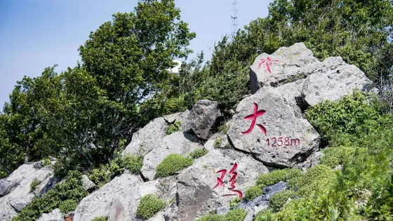 肇大雞山森林公園