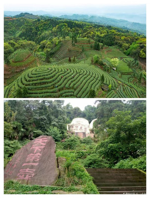 雅安，一座山水间藏着文化的城市