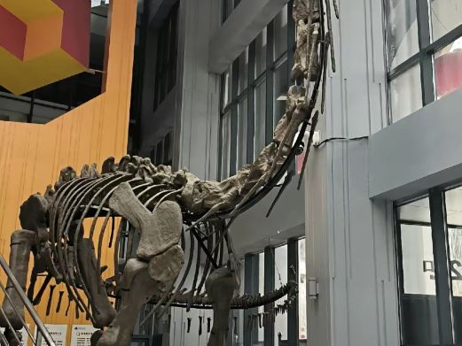 延安科技馆