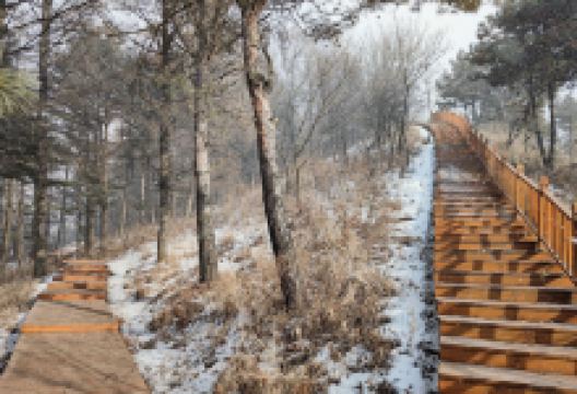 万发拨子遗址景点图片