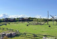 Parc Animalier de Sainte-Croix景点图片