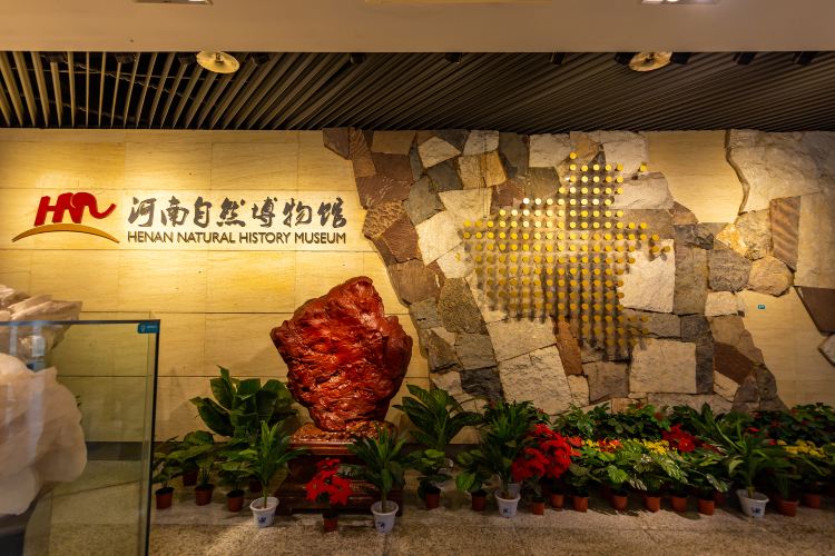 河南自然博物馆