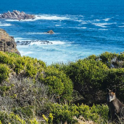 澳大利亚悉尼+墨尔本8日7晚私家团