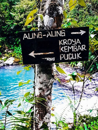 巴厘岛|夏日玩水大作战之瀑布里的夏天