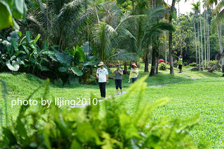 【海南宝藏攻略】吃黎家美食、穿越钻石级热带雨林