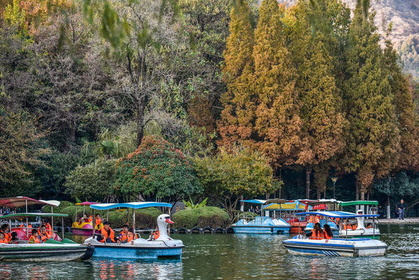 都知道皖南秋韵,却忽视了皖北秋景,眼下的淮北市美炸了!