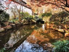 孤山-杭州-qtrqqcl