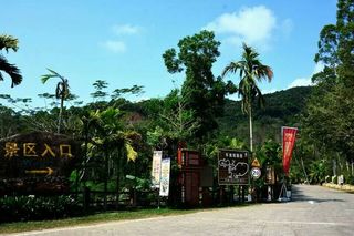 冬天的海南，有诗和远方