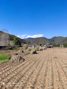 草海-盐源-LikeGor