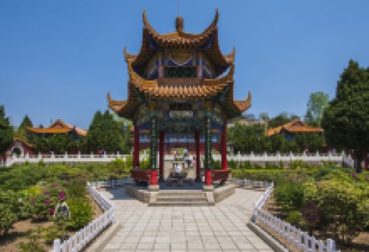 古县牡丹文化旅游区天下第一牡丹景点图片