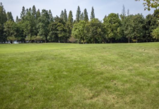 曹魏古城-西湖公园景点图片