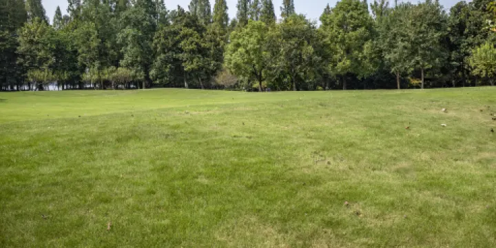 曹魏古城-西湖公園