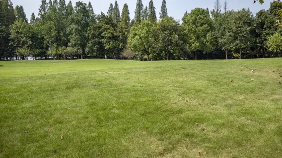 曹魏古城-西湖公園
