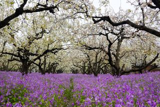 去酒都宿迁来一次3天2晚的旅行吧，空气中都是香浓的酒味