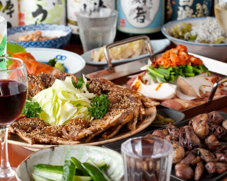 Toriyoshishoten Hiratsukaparurodoten