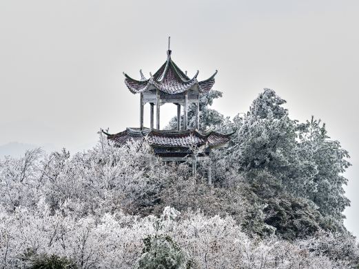 金鼎山